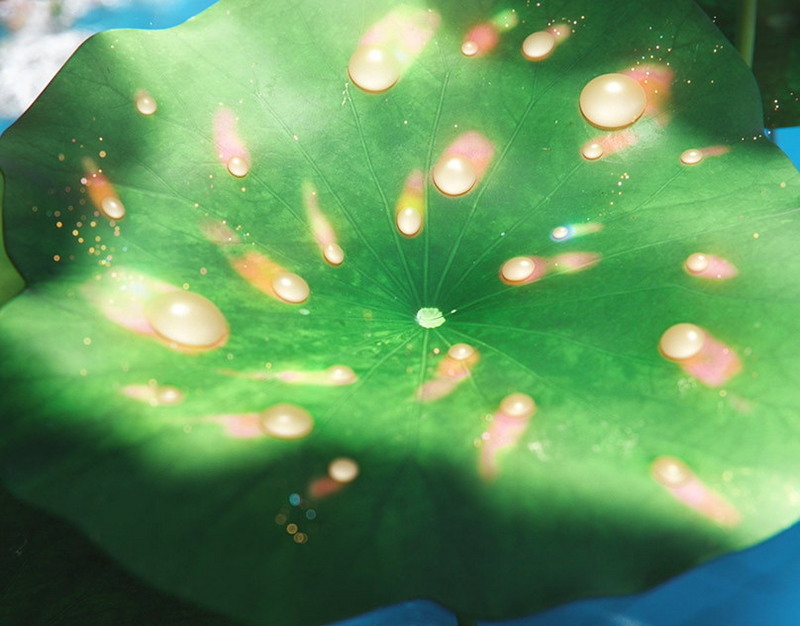 Над Саратовом, Энгельсом и Тольятти гремят взрывы в небе