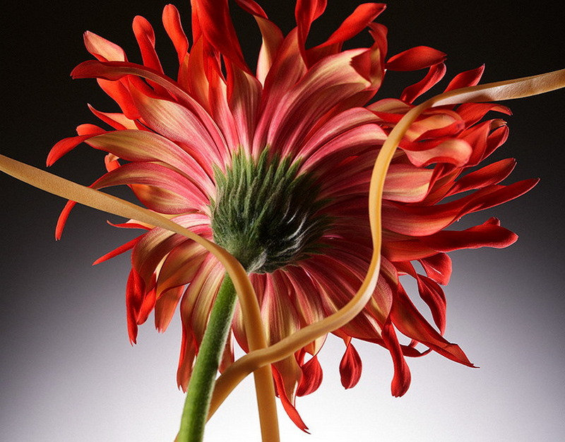 Специальная мойка Чистый воздух